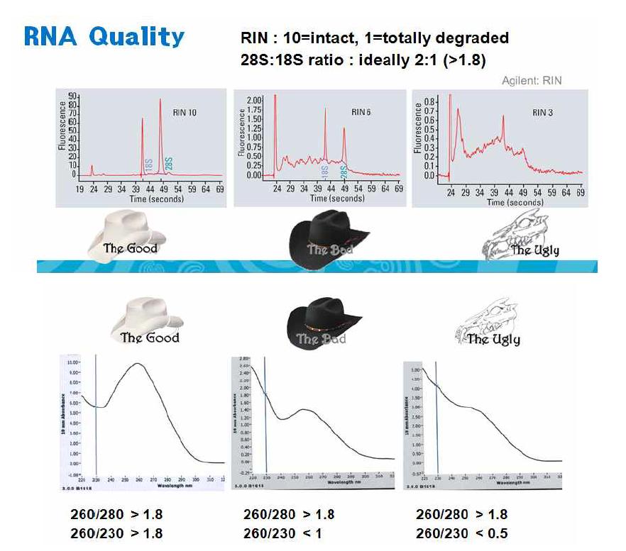 RNA quality