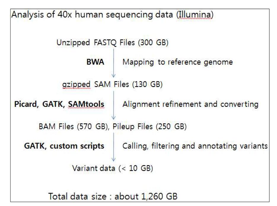 한 명의 전장 유전체 분석으로부터 소요되는 데이터 분량