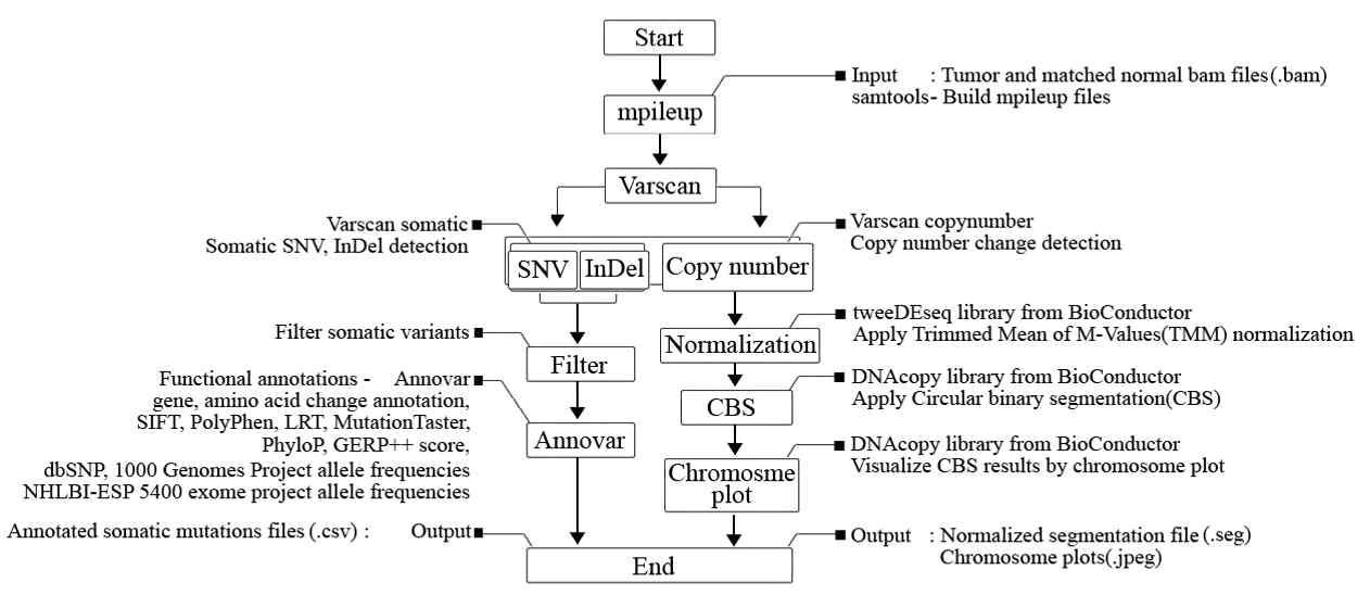 Exome-sequence에서 Somatic variant 분석을 위한 pipeline