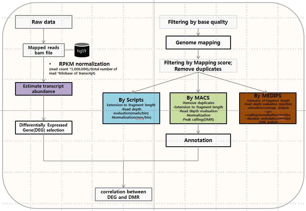 유전자 전사체 분석과 DNA 메틸화 분석의 통합 분석 workflow