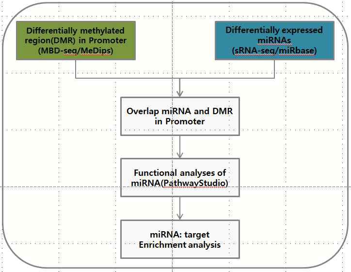 sRNA 분석 workflow