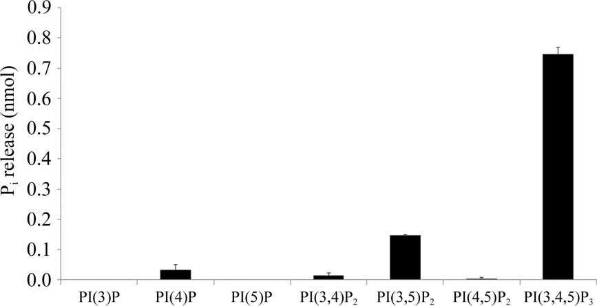PIP 기질에 따른 PTPRQ 탈인산화 활성 비교
