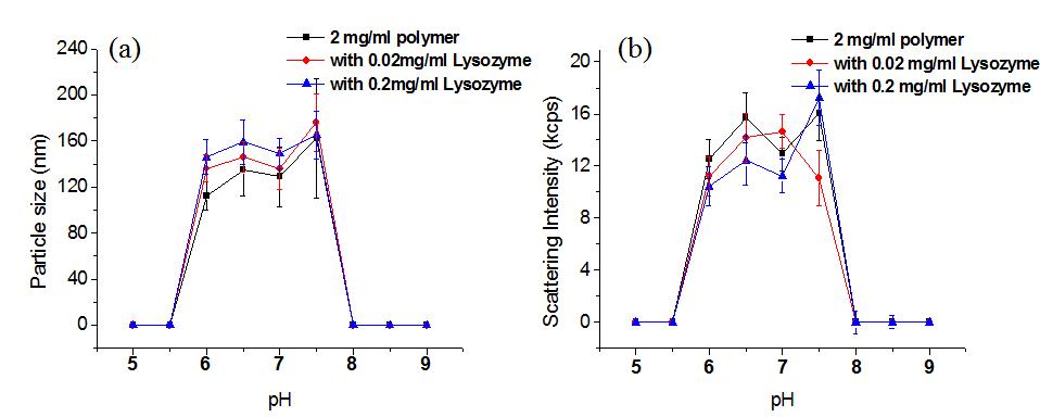 고분자와 Lysozyme 의 pH 변화에 따른 (a) particle size, (b) scattering intensity