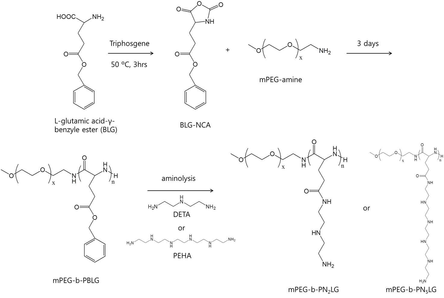 양이온성 공중합체 mPEG-b-PNLG의 제조 과정