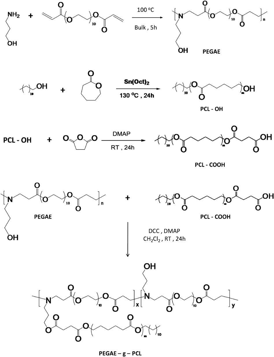 PEGAE-g-PCL 합성 모식도