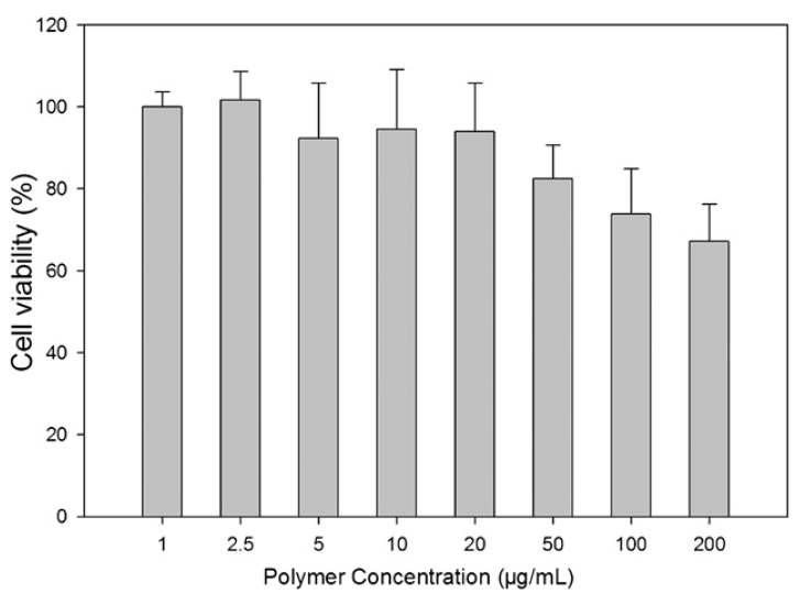 고분자 마이셀의 in vitro cytotoxicity