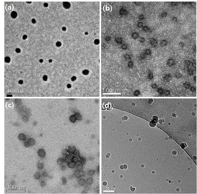 TEM images of (a) PAE–g-PEG(2k), (b) PAE-g-PCL(1k)-PEG(1k), and (c) PAE-g-PCL(1k)-PEG(2k). Cryo-TEM image of (d) PAE-g-PCL(1k)-PEG(2k).