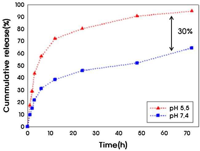 polymersome의 pH 5.5와 7.4에서의 in vitro DOX 방출 경향