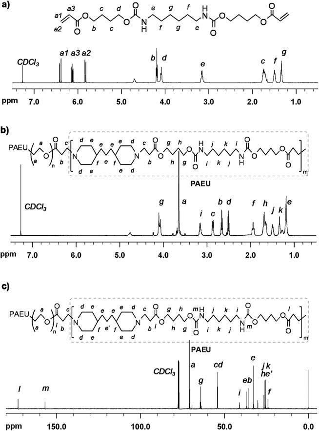 (a) monomer BHB, (b) copolymer B-46-2의 1H NMR data (c) copolymer B-46-2의 13C NMR data