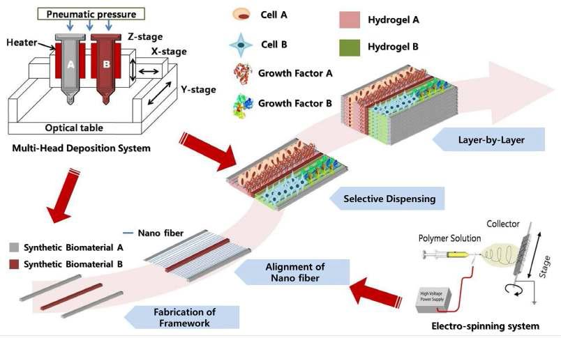 생체 조직 재생을 이한 쾌속조형 기반 3차원 세포프린팅 기술 개발 개념도 (포항공대)