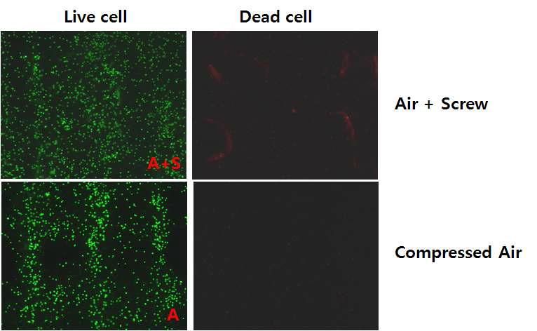 Live/Dead Cell assay (공압 vs. 공압 + 스크류)