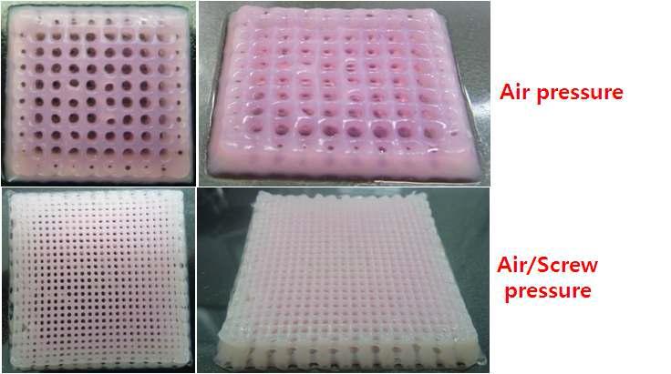 공압 + 스크류 방식을 이용한 인공지지체 제작