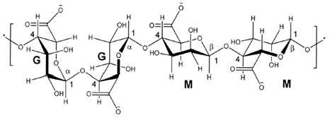 Alginate의 분자 구조