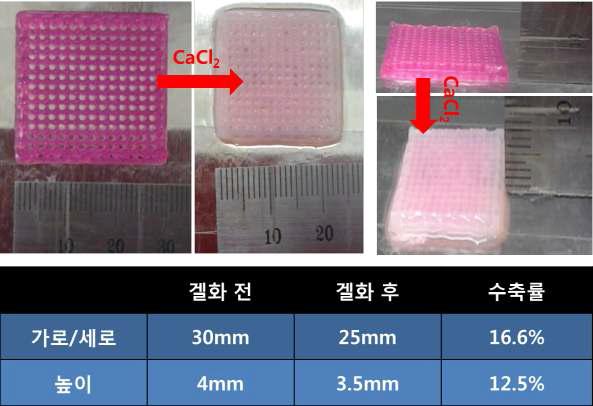 2.5% PCP + Alginate 인공지지체 겔화 전후의 수축률 특성