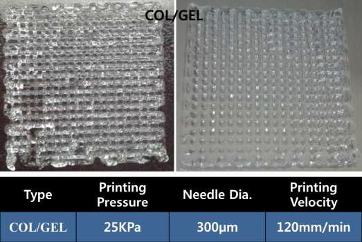 0.27% Collagen + 0.5% Gelatin 인공지지체 제작 공정 조건