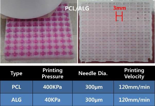 PCL + Alginate 인공지지체 제작 공정 조건