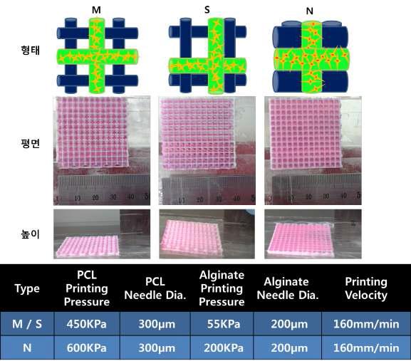 3가지 형태의 PCL + Alginate 인공지지체 : Alginate 가닥이 중간(M), 한쪽 벽면(S), 기공을 모두 채움(N)