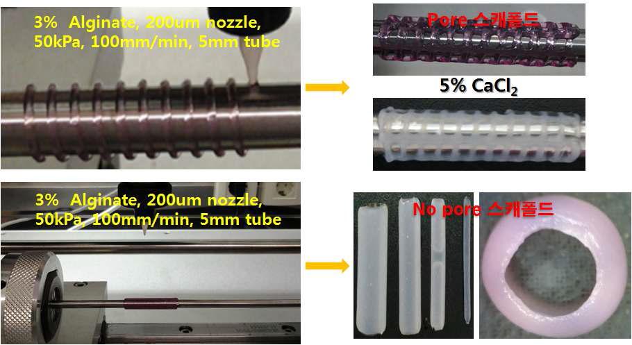 세포 프린팅 장비로 제작돈 도관형 인공지지체 제작