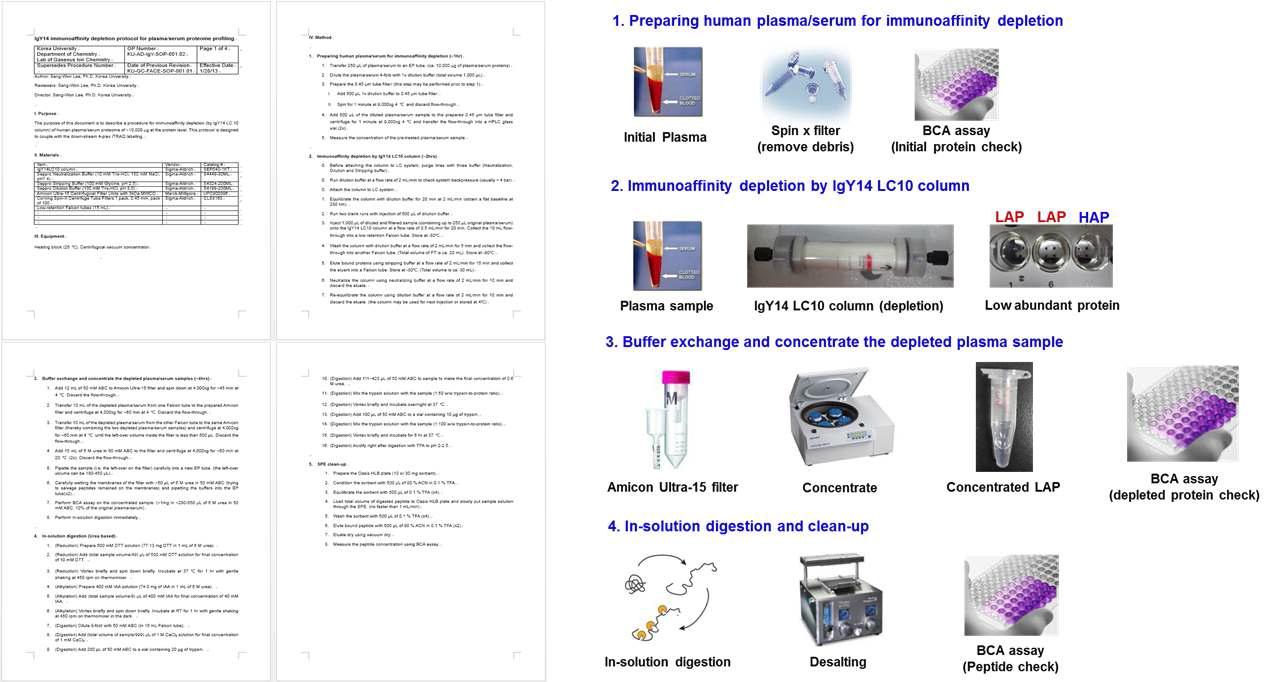 Immunoaffinity depletion 및 단백질 소화 SOP