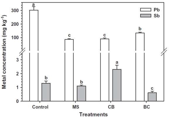 홍합껍질 (MS), 소뼈 (CB), 바이오차 (BC)가 처리된 토양에서 재배한 옥수수 지상부 내 납(Pb)과 안티몬 (Sb)의 농도