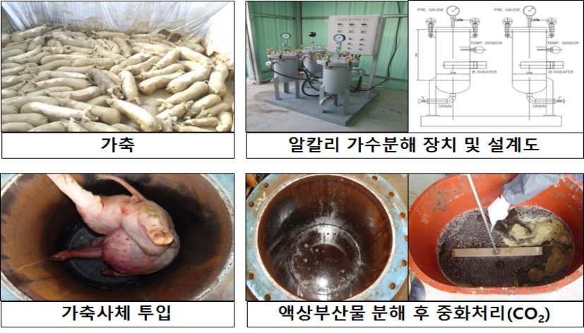 알칼리 가수분해를 이용한 가축사체처리방법