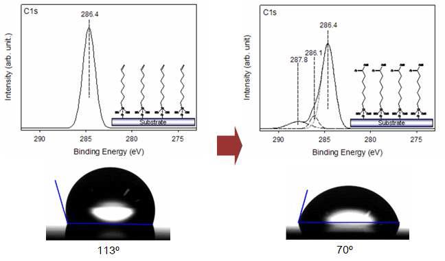 활성화된 유기막의 XP spectra 와 접촉각