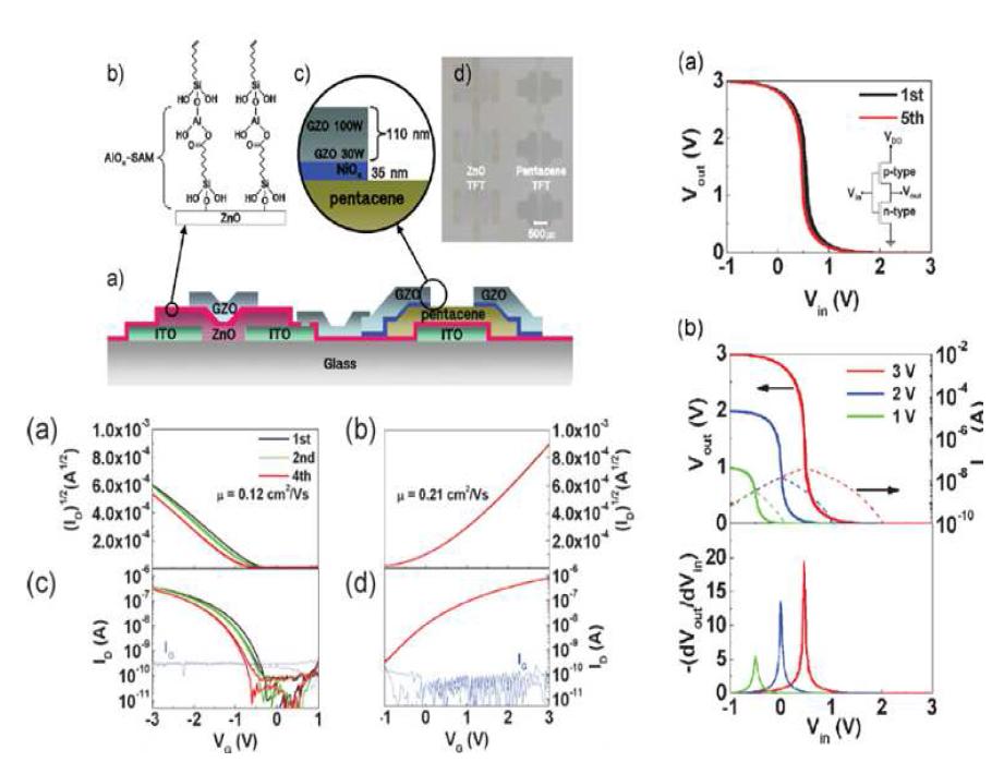 ZnO/Pentacene TFT 의 output 곡선 및 transfer 곡선 및 Inverter gain
