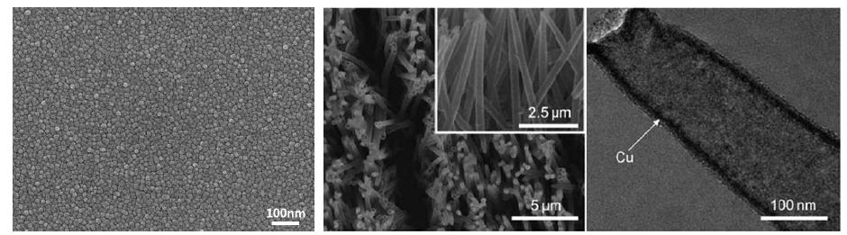 Cu 금속 박막의 표면 SEM 및 Cu 나노튜브의 SEM, TEM 이미지