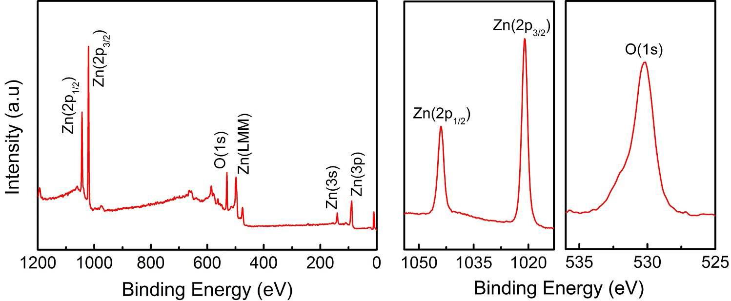 ZnO 박막의 XP spectra