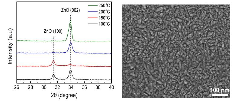 증착 온도에 따른 ZnO 박막의 XRD 패턴 및 표면 SEM 이미지