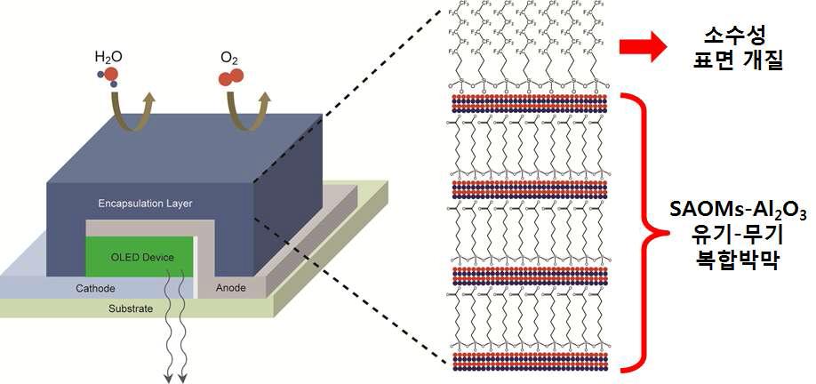 OLED encapsulation 층의 구조