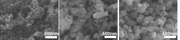 particle 종류에 따른 SEM 단면 이미지