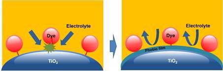 F-Alucone-Al2O3 recombination barrier 모식도