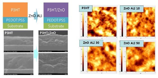 P3HT/ZnO BHJ 태양전지 infiltration 전, 후 SEM 및 AFM 이미지