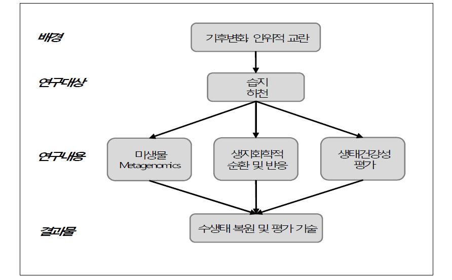 연구배경, 대상, 내용 및 결과물에 대한 모식도