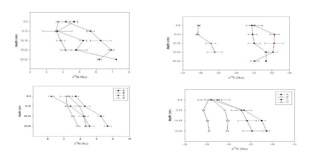 밭, 산림토양의 깊이별 질소, 탄소 안정성 동위원소 비