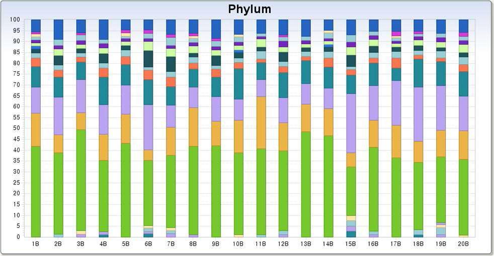 pyrosequencing에 의한 염습지 토양 bacteria 종조성 분석 결과