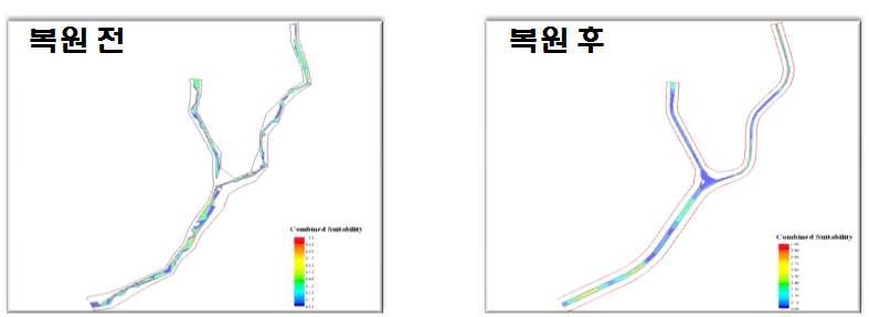 복원 전후의 복합 서식처 적합도 (Combined Suitability)