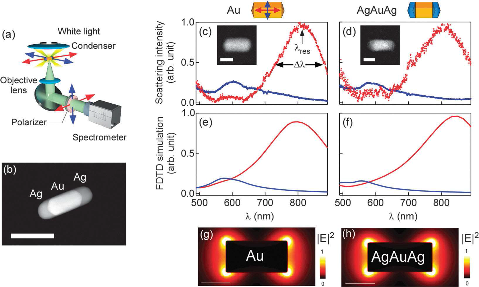 (좌) Dar-field spectro-microscopy 방법과 AgAuAg nanorod의 전자현미경 사진 (중) Au nanorod의 플라스몬 공명스펙트럼과 FDTD 전산모사, (우) AgAuAg nanorod의 공명스펙트럼과 FDTD 전산모사.