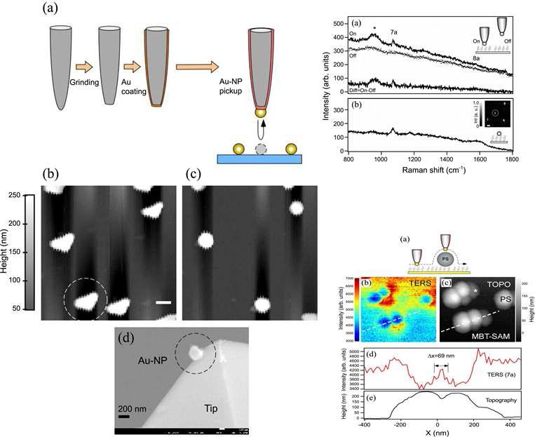 (좌)pickup process; AFM before and after pickup;전자현미경이미지; (우상) TERS spectra; (우하) TERS image