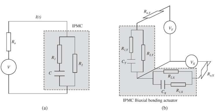 IPMC 2축 굽힙 구동기에 사용된 군집 RC 모델