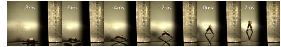 벼룩 모사 초소형 도약 로봇의 초고속 카메라 연상의 순차적 사진