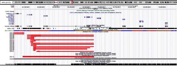 4q13.2의 gene, SNP 및 기 보고된 CNVR. USCS Genome Browser