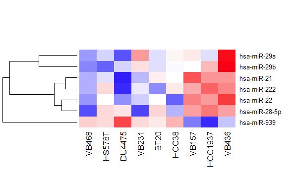 Docetaxel 내성과 관련되어 선정된 miRNA의 heatmap