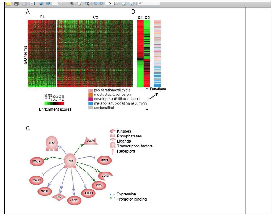 CC 특이적 유전자에 대한 functional enrichment 분석과 네트워크 분석