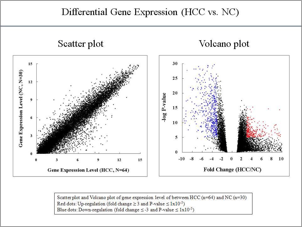 간암 및 정상 조직간 mRNA 발현에 대한 산점도 및 Volcano plot