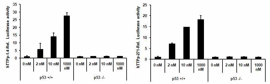 HCT116 p53 wild type과 p53 null type의 세포에 hTTP promoter를 transfection 한 후 oxaliplatin을 농도별로 처리하여 24시간 후 luciferase activity를 측정함.