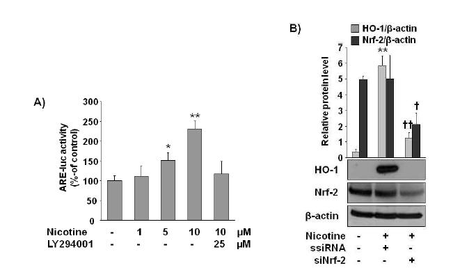 Involvement of Nrf-2 in nicotine-induced HO-1 expression in macrophages