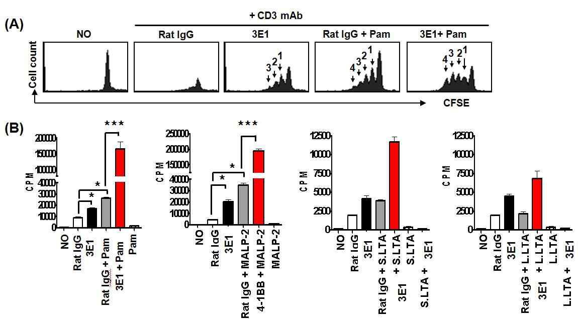 A, CD8 T-세포를 순수분리한 후 2.5 uM CFSE로 15분간 표지하고 0.05 ug/ml의 anti-CD3항체, 5 ug/ml의 3E1, 2 ug/ml의 PAM을 처리한 후 72시간 배양하고 FACS로 CFSE 형광을 분석함. B, 0.05 ug/ml의 anti-CD3항체, 2 ug/ml의 PAM, 5 ug/ml의 3E1, 1 ug/ml MALP-2, 10 ug/ml LTA를 처리하고 54 시간 배양. 0.5 uCi/well의 3H-thymidine을 18시간 동안 처리 한 후 세포를 수확하여 방사능을 측정한다. S.LTA: Staphylococcus aureus의 LTA; L.LTA:Lactobacillus plantarum에서 분리한 LTA.