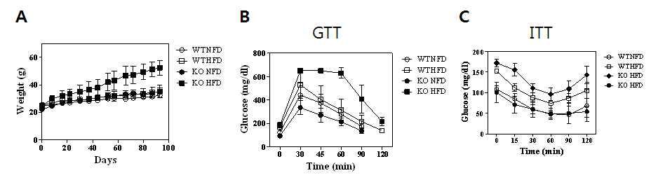 CD137 KO mice are susceptible to high fat diet-induced obesity.